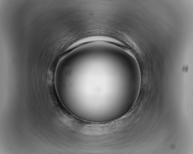 X0000099420025200805091253