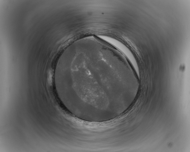 X0000099420026200805091253
