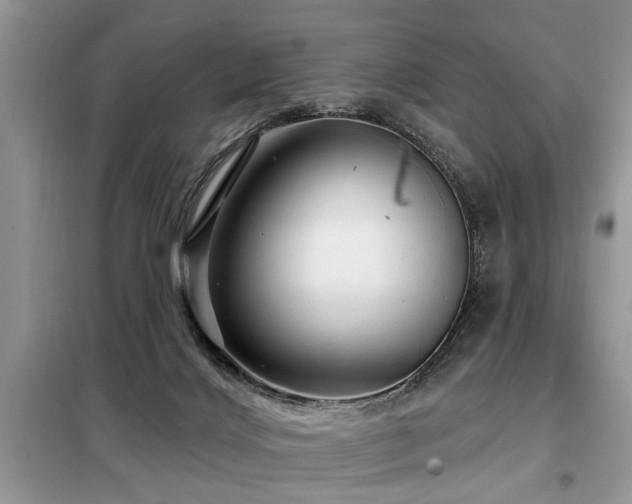 X0000099420028200805091253