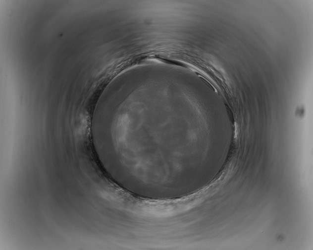 X0000099420029200805091253