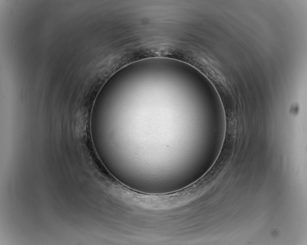 X0000099420030200805091253