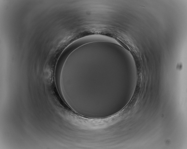 X0000099420031200805091253