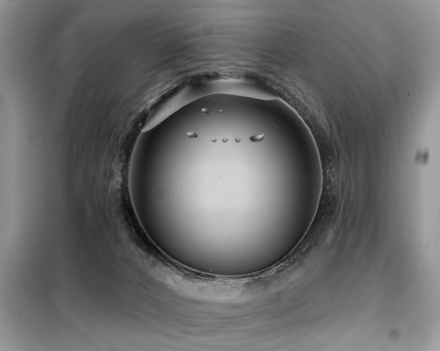 X0000099420032200805091253
