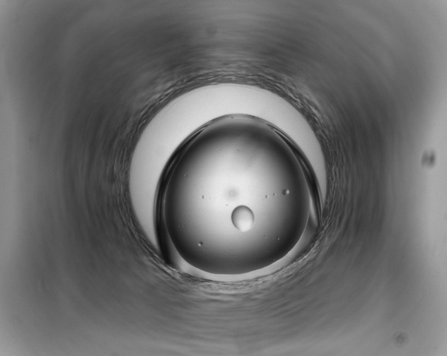 X0000099420033200805091253