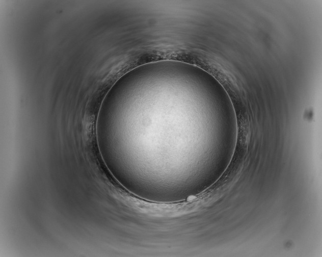 X0000099420034200805091253