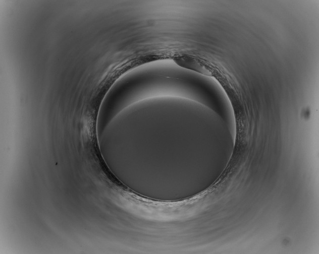 X0000099420035200805091253