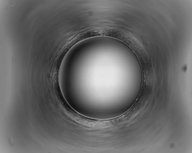X0000099420036200805091253