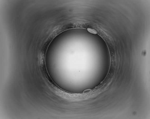 X0000099420038200805091253