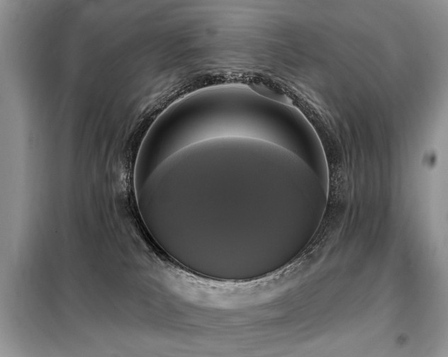 X0000099420039200805091253