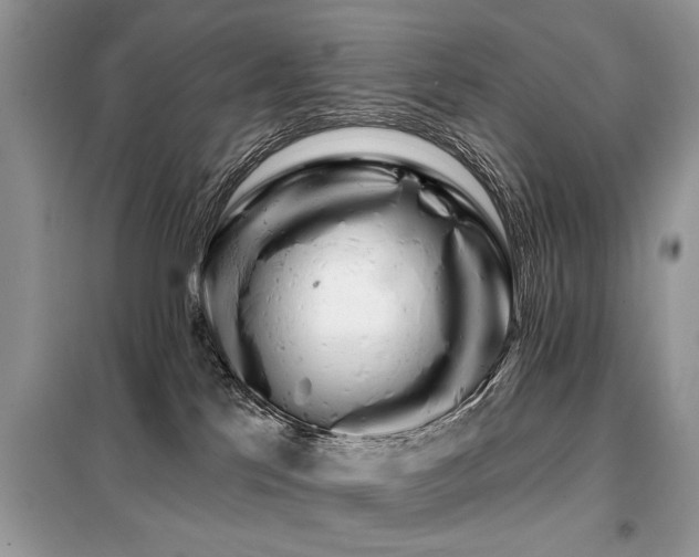 X0000099420041200805091253