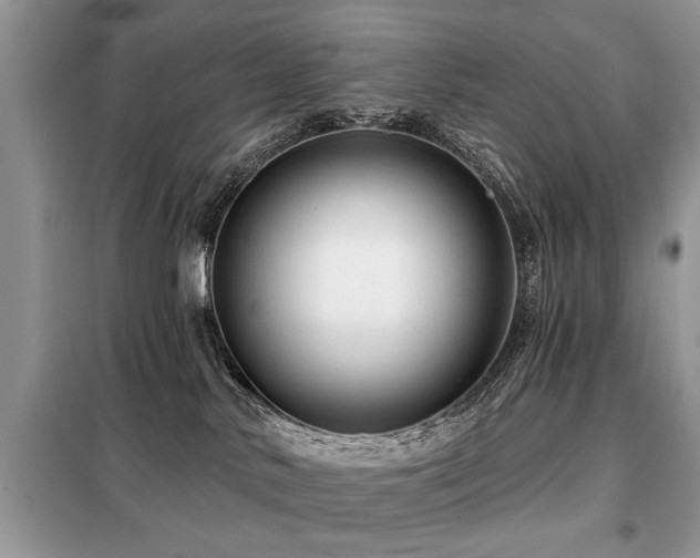 X0000099420042200805091253