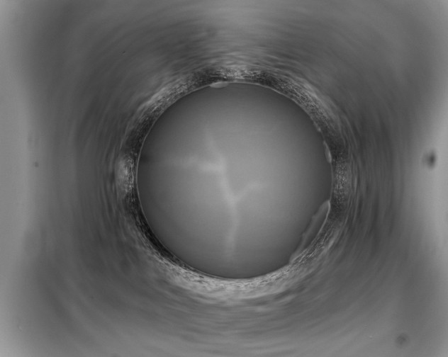 X0000099420043200805091253