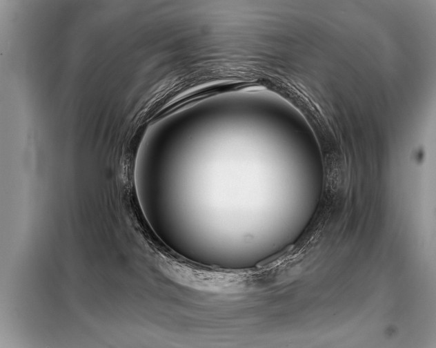 X0000099420044200805091253