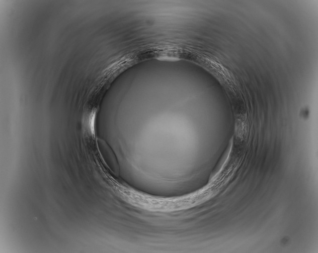 X0000099420047200805091253