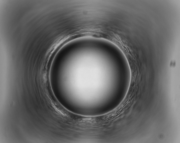 X0000099420050200805091252