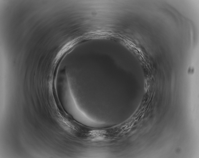 X0000099420051200805091252