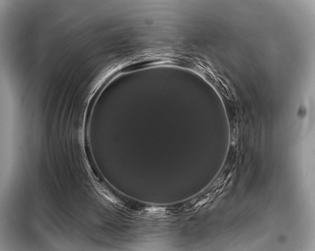 X0000099420052200805091252