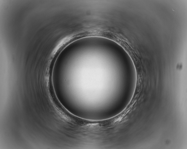 X0000099420054200805091252