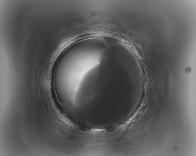 X0000099420055200805091252