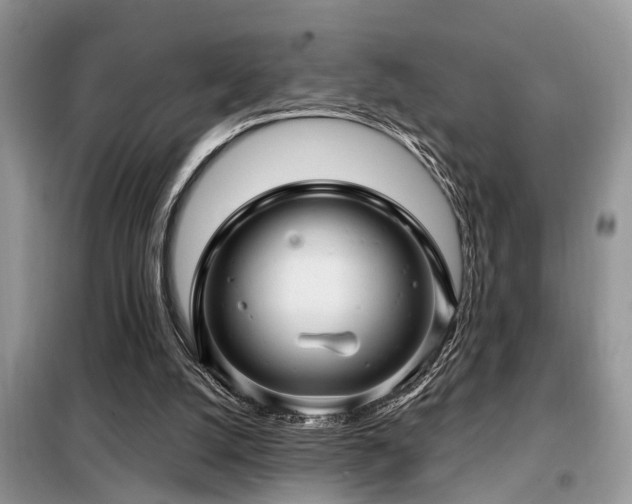 X0000099420056200805091253