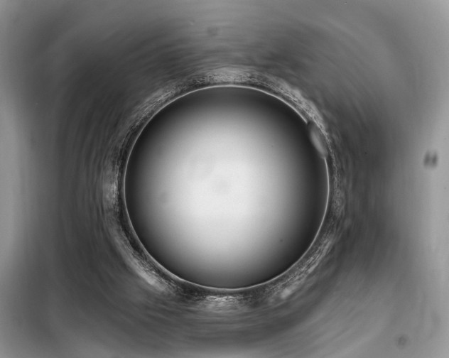X0000099420057200805091253