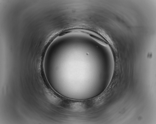 X0000099420058200805091253