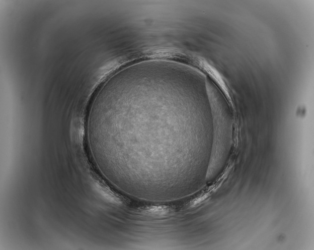 X0000099420059200805091253
