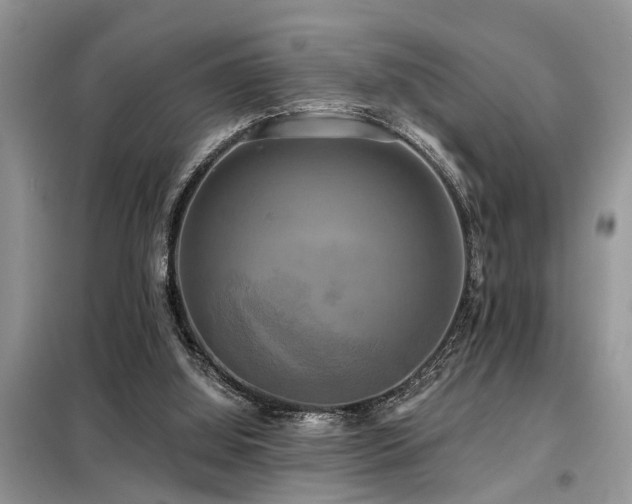 X0000099420060200805091253