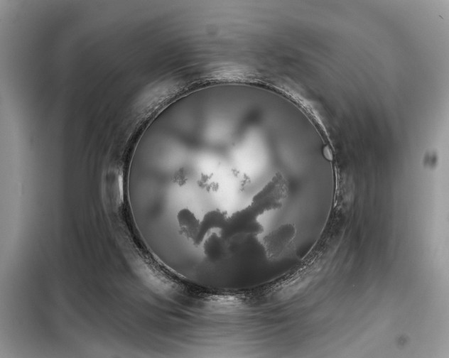 X0000099420061200805091253
