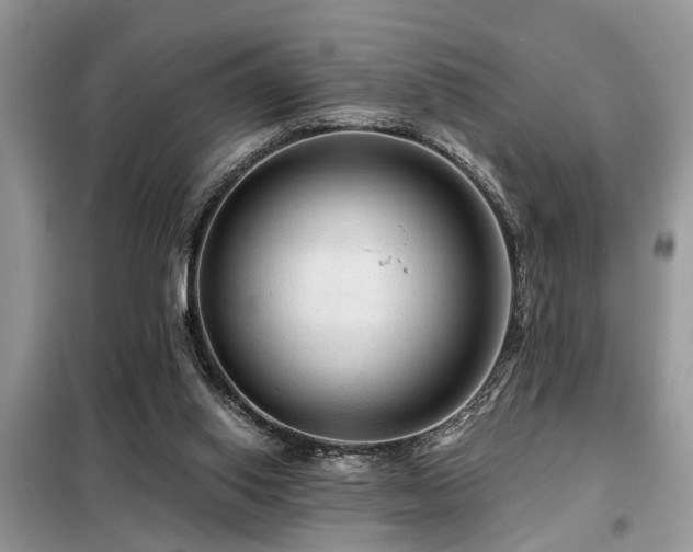 X0000099420062200805091253