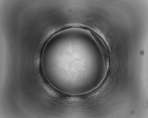 X0000099420063200805091253