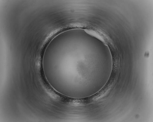 X0000099420064200805091253