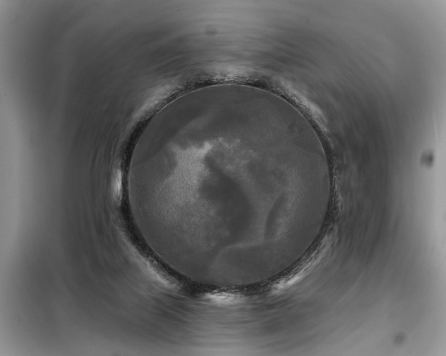 X0000099420067200805091253