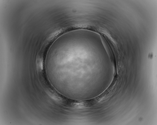 X0000099420068200805091253