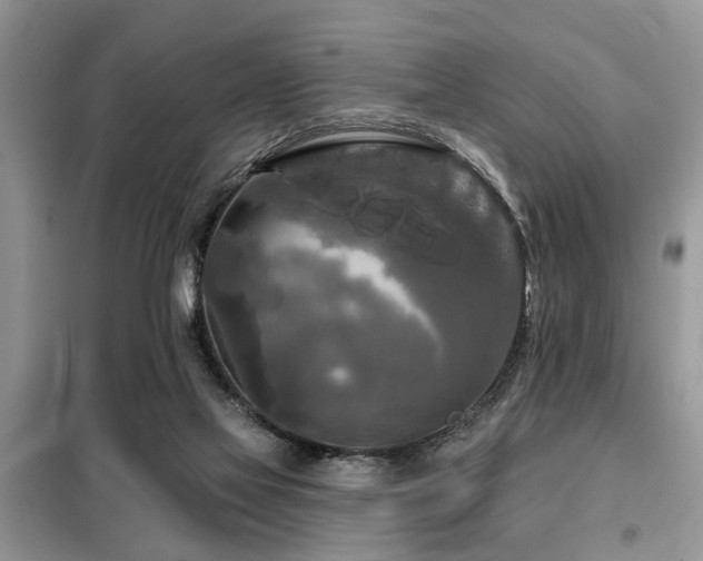 X0000099420069200805091253