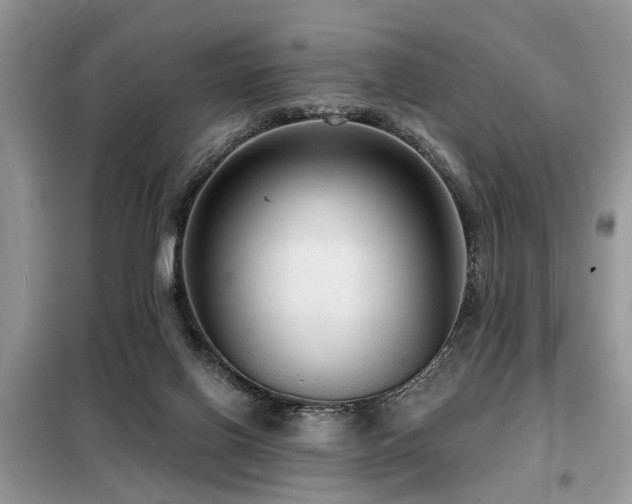X0000099420070200805091253