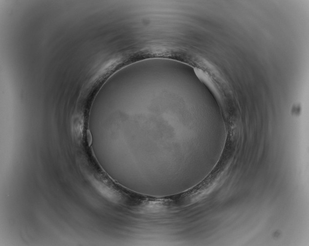 X0000099420072200805091253