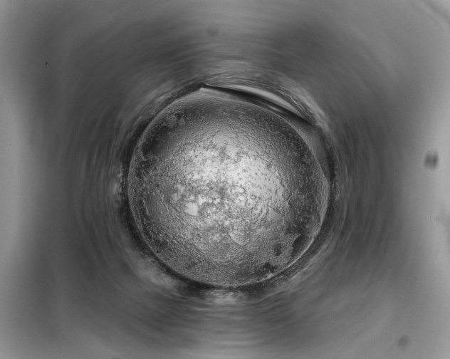 X0000099420073200805091253