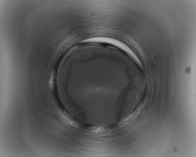 X0000099420074200805091253