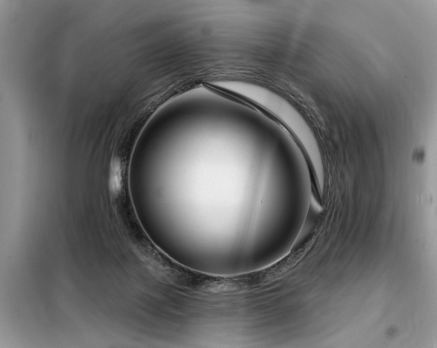 X0000099420075200805091253