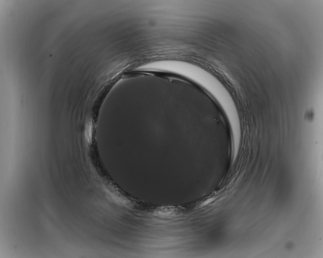 X0000099420076200805091253