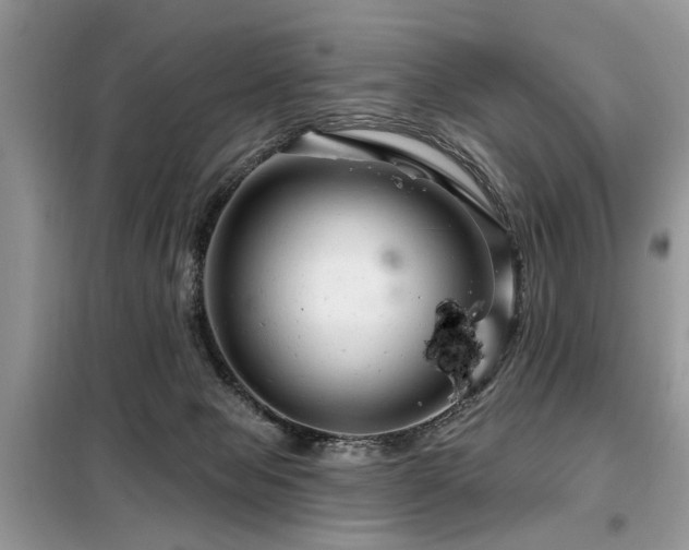 X0000099420077200805091253