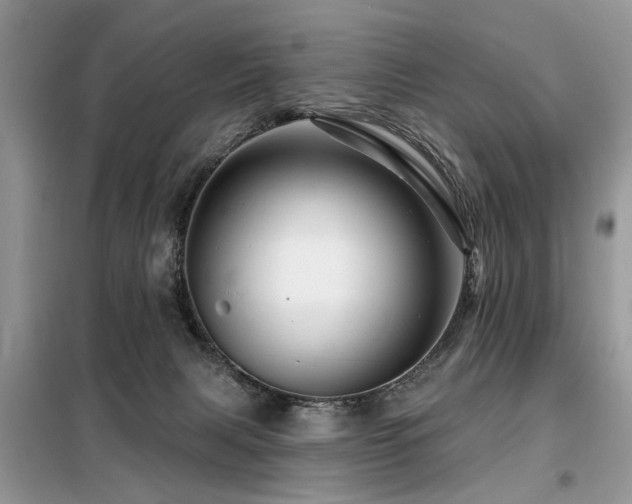 X0000099420079200805091253