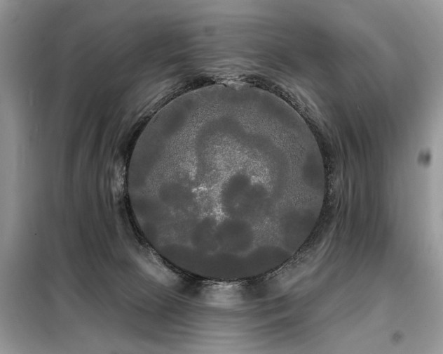 X0000099420081200805091253