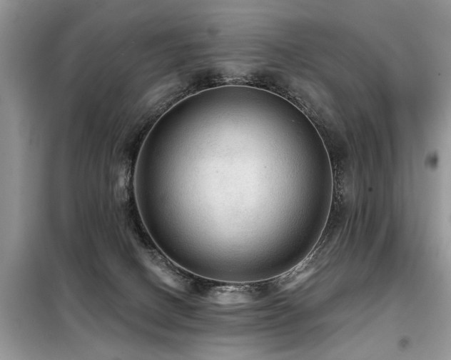 X0000099420082200805091253