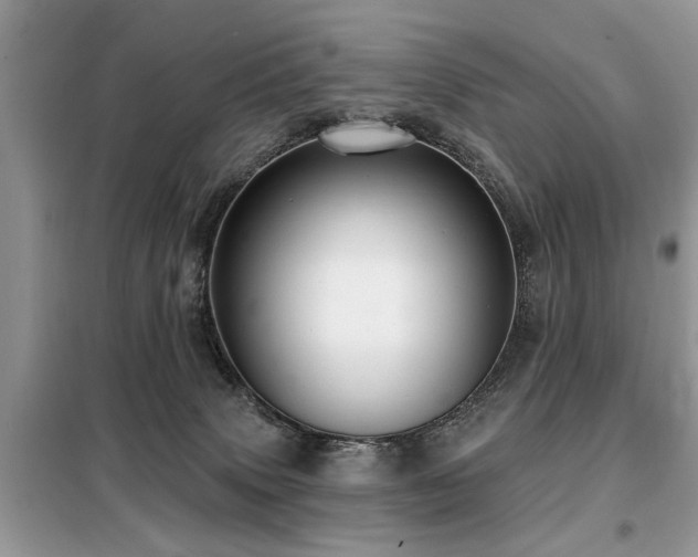 X0000099420083200805091253