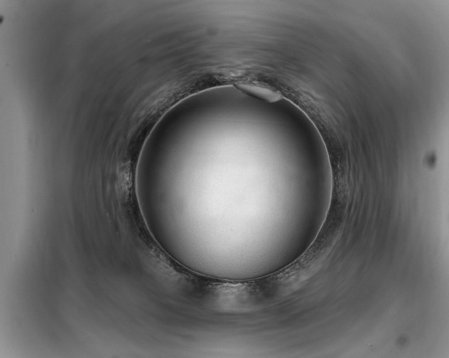 X0000099420085200805091253