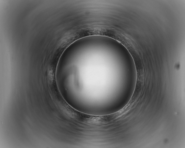 X0000099420086200805091253