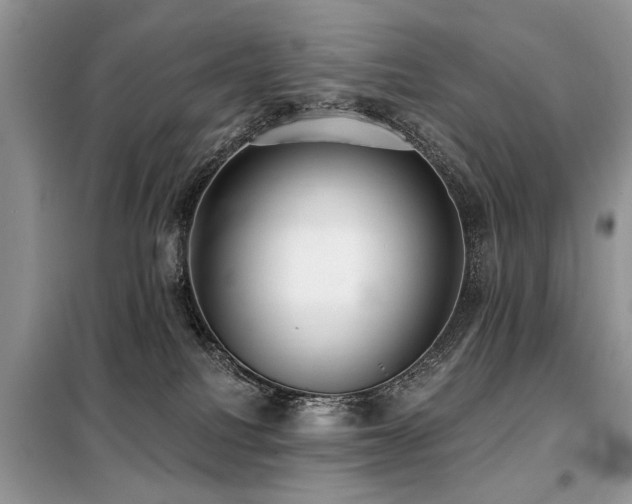 X0000099420088200805091253