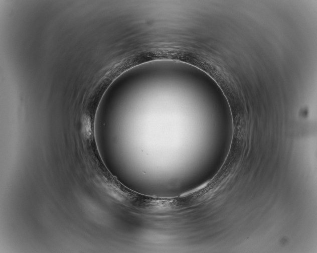 X0000099420089200805091253